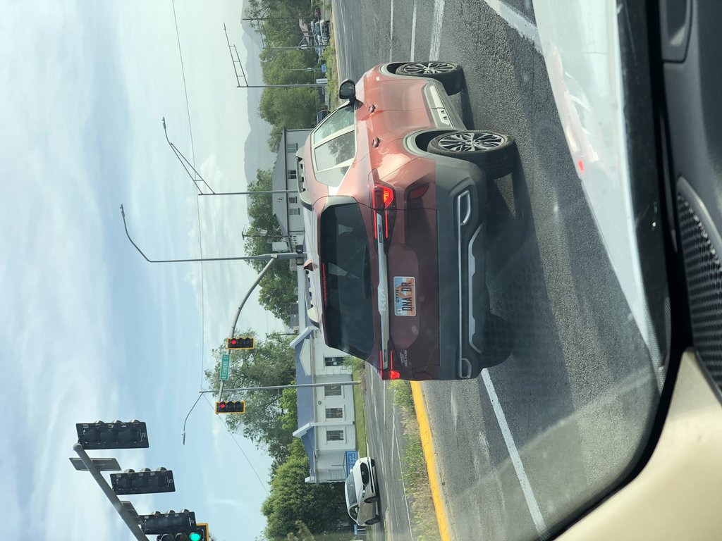 Vanity plate: DNA DR