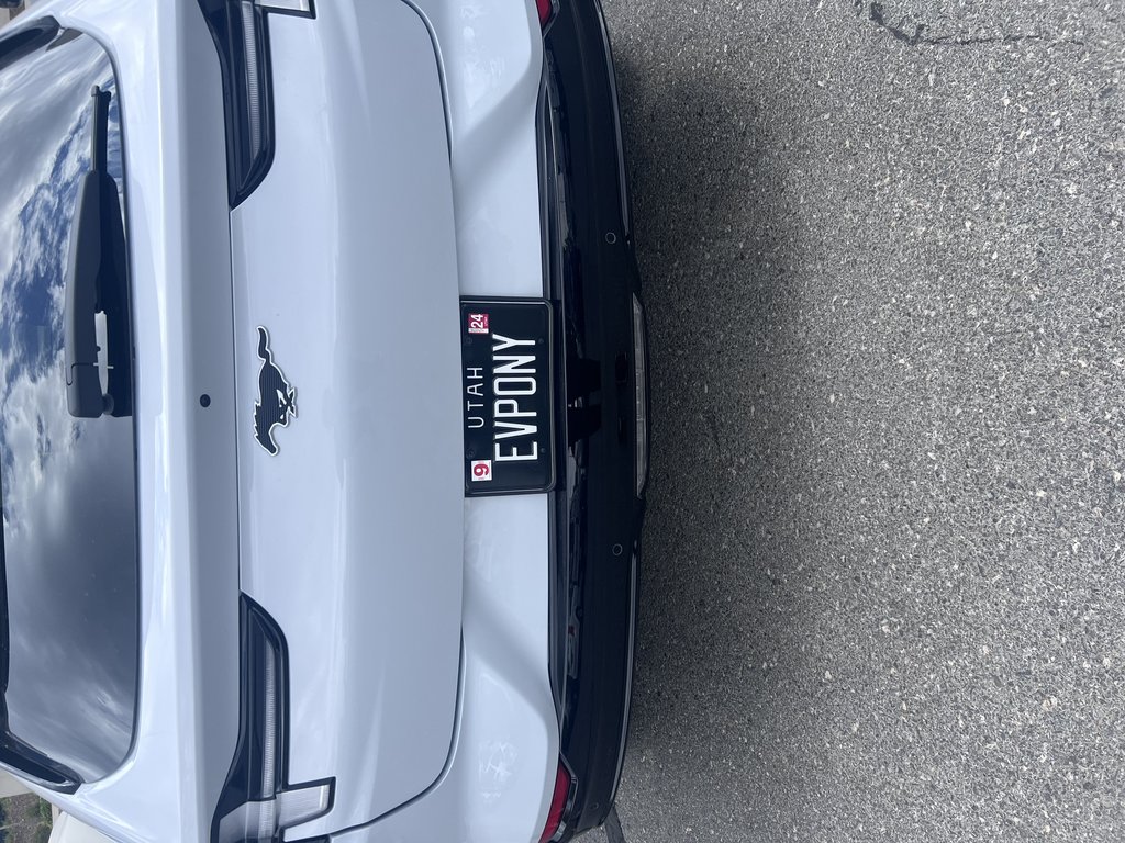 License plate: EVPONY