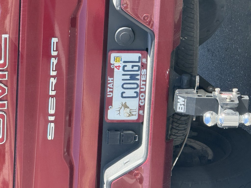 License plate: COWGL