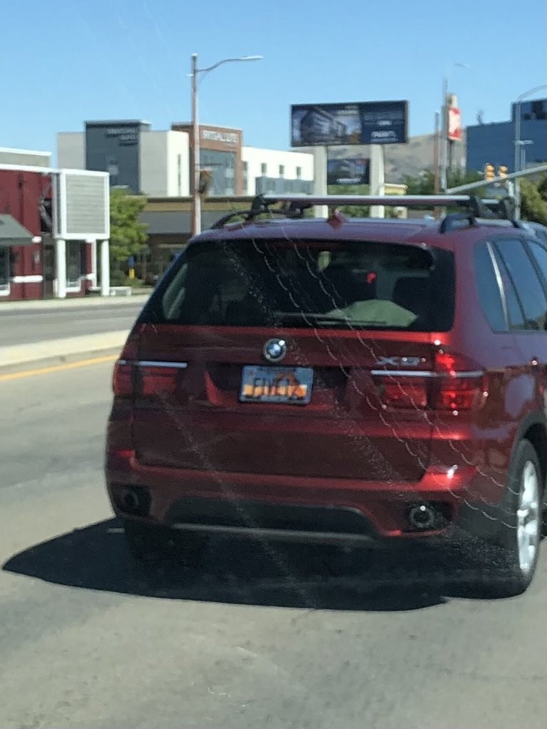 License plate: HILTERA