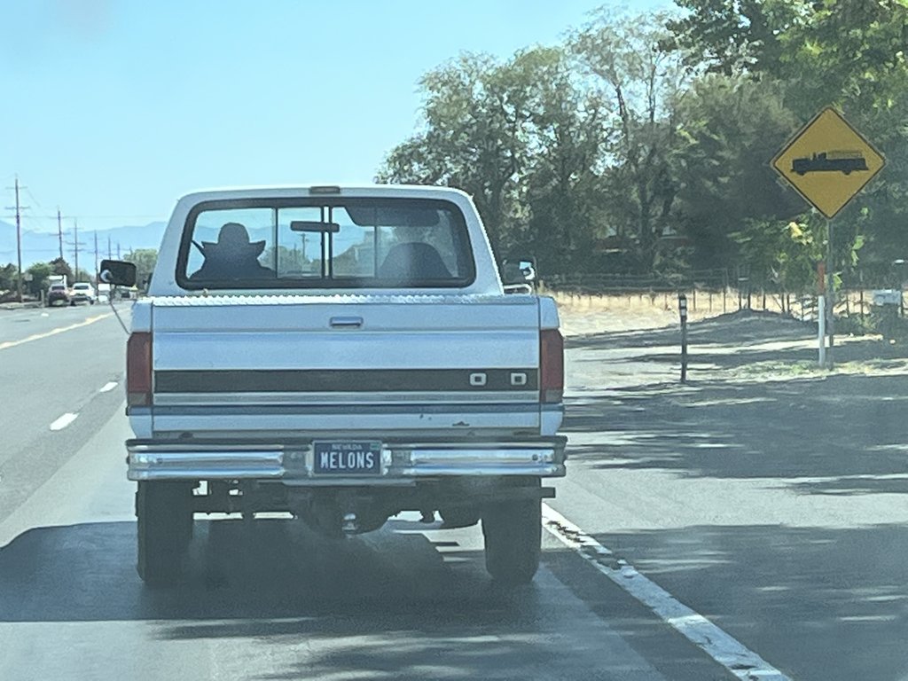 License plate: MELONS