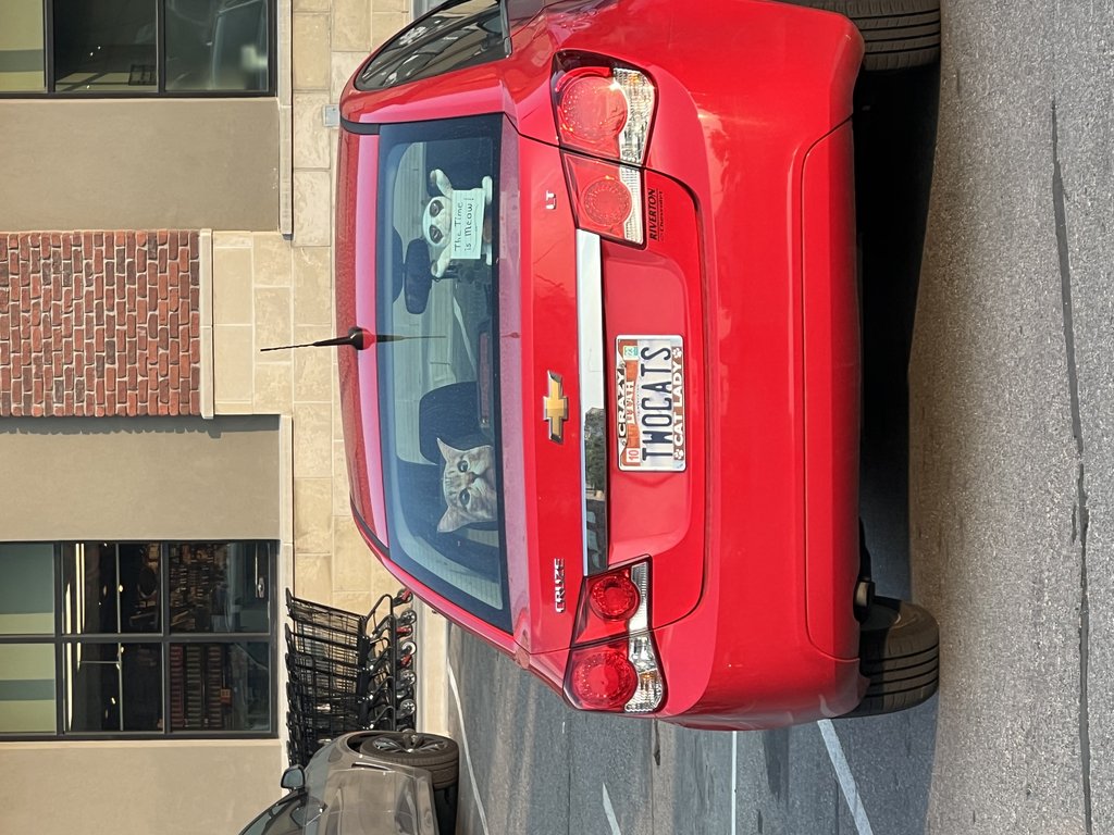 License plate: TWOCATS