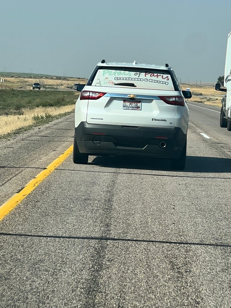 License plate: PETAL