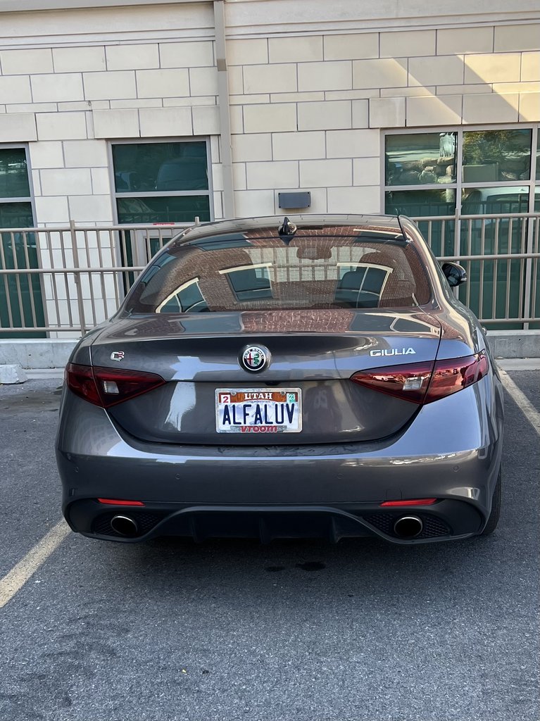 Vanity plate: ALFALUV
